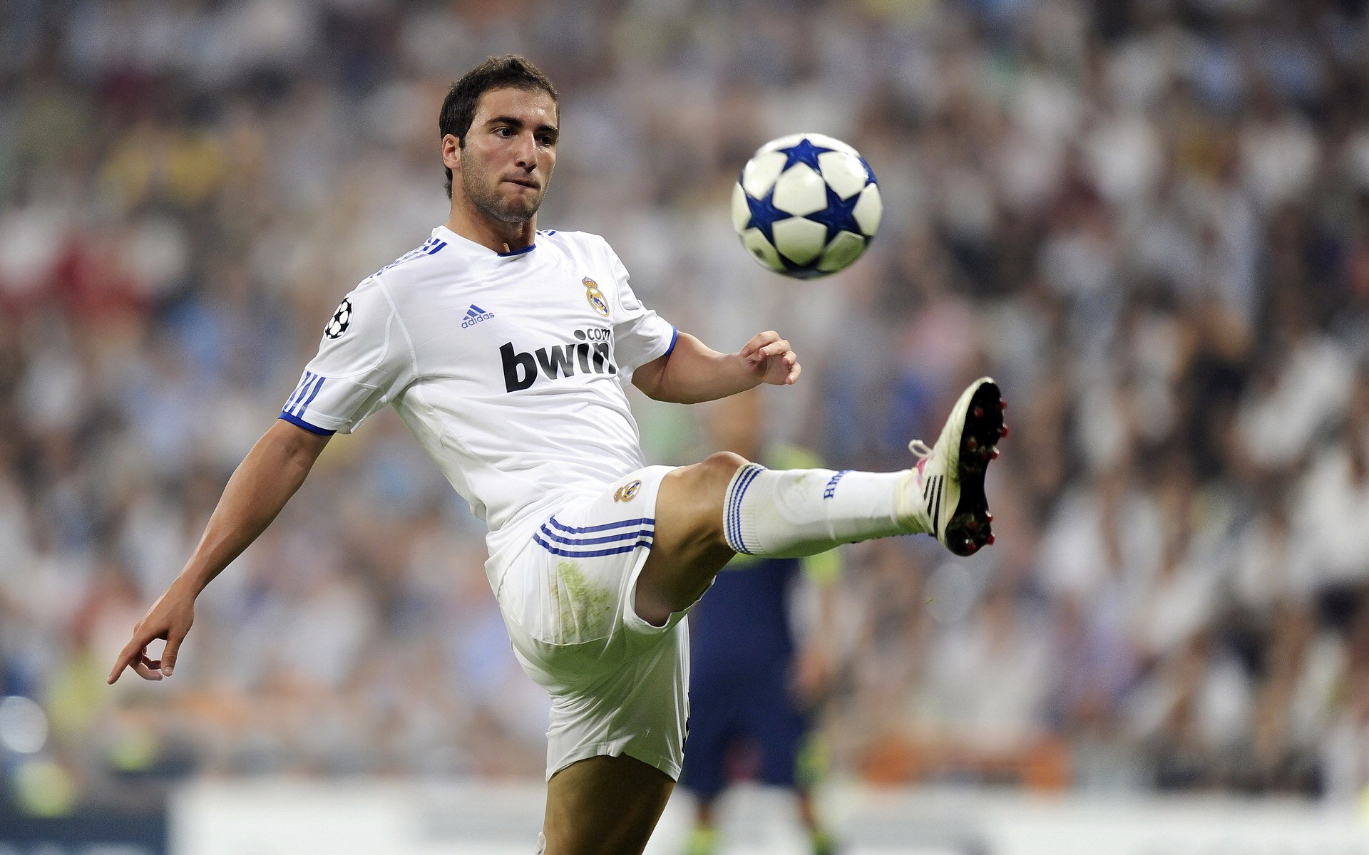 国际足球赛事中出现一些意外的结果，国际中有哪些重要的足球赛事